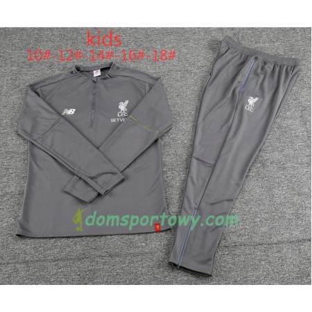 Liverpool Dziecięcy Komplet Bluzy Treningowe Szary 2018-2019